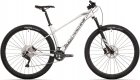 Rock Machine Torrent 50-29 (XL) stbrn/ed